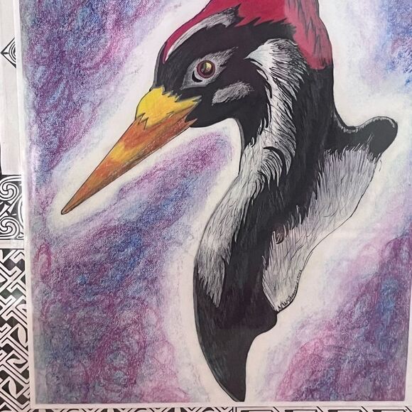 Framed Pileated Woodpecker Art Print Drawing 14x14 - Picture 4 of 5